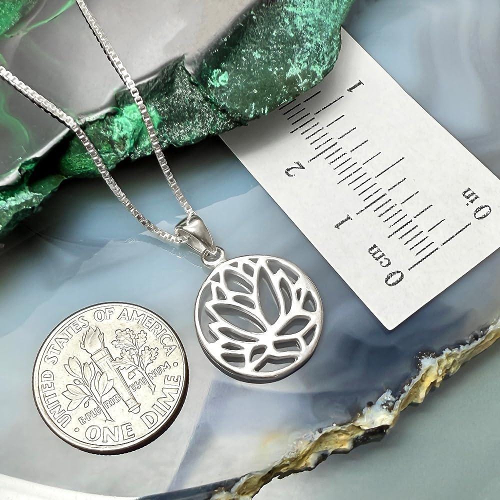 a silver necklace with a pendant, a silver coin, and a ruler placed on a blue and green background.