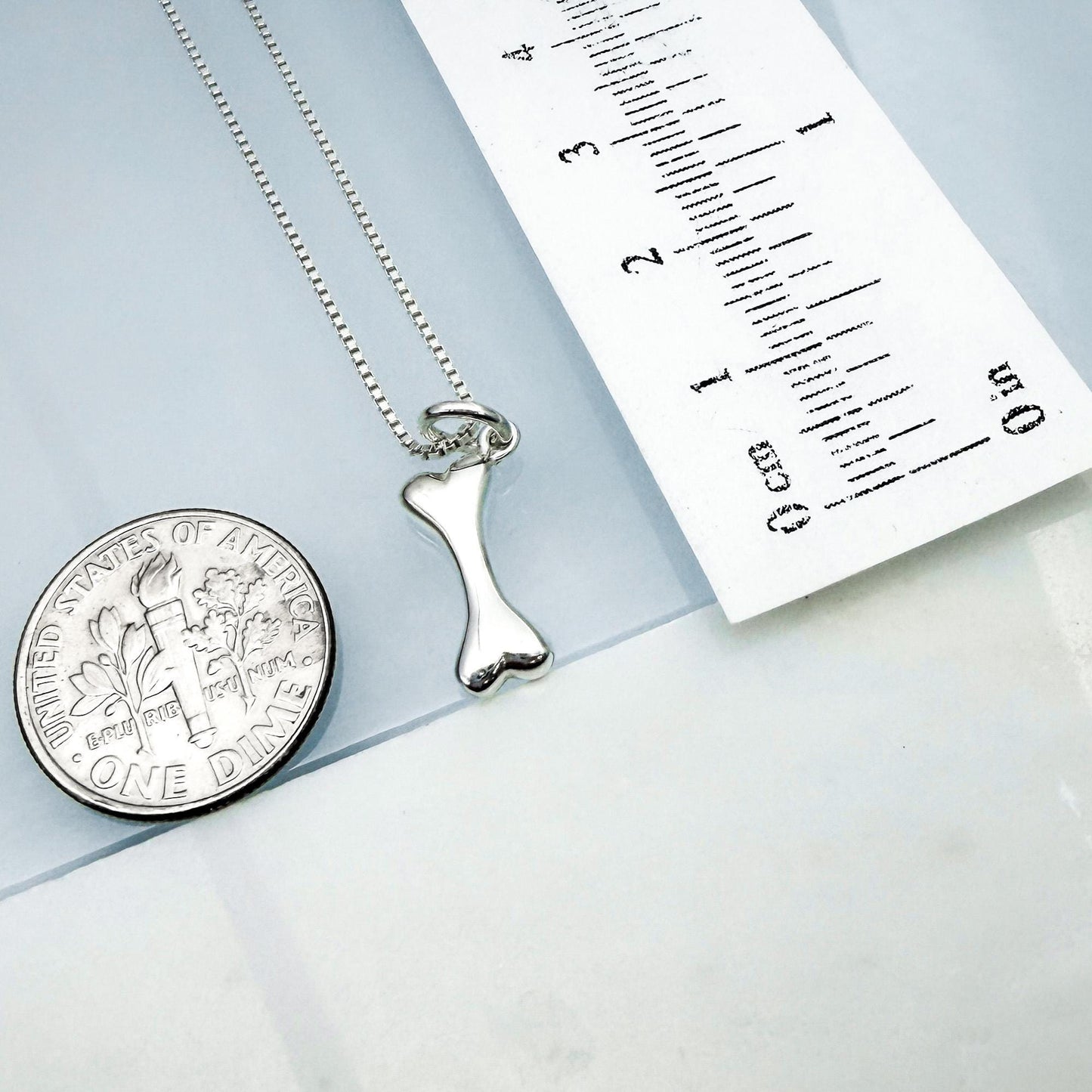 a silver bone pendant hanging from a chain, placed next to a United States quarter coin for scale.