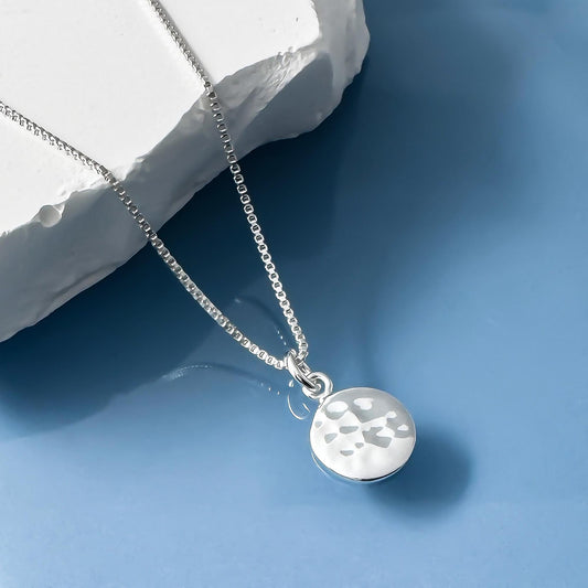 A silver necklace with a round pendant is displayed against a blue background.